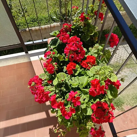 Casa Luminosa